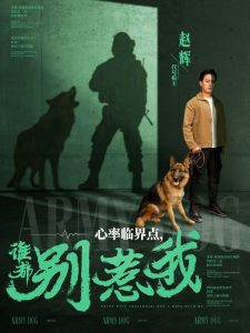 心率臨界點(diǎn)誰都別惹我全集(大結(jié)局)