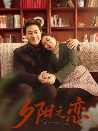 晚風(fēng)知我意全集(大結(jié)局)