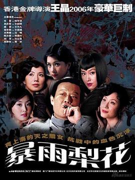 暴雨梨花第24集