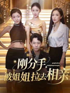 剛分手，被姐姐拉去相親(全集)