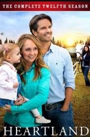 心靈之地第十二季(全集)