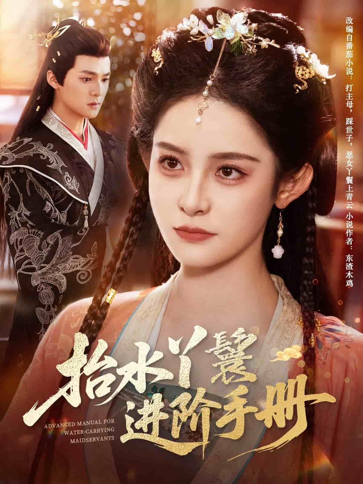 抬水丫鬟進階手冊(全集)