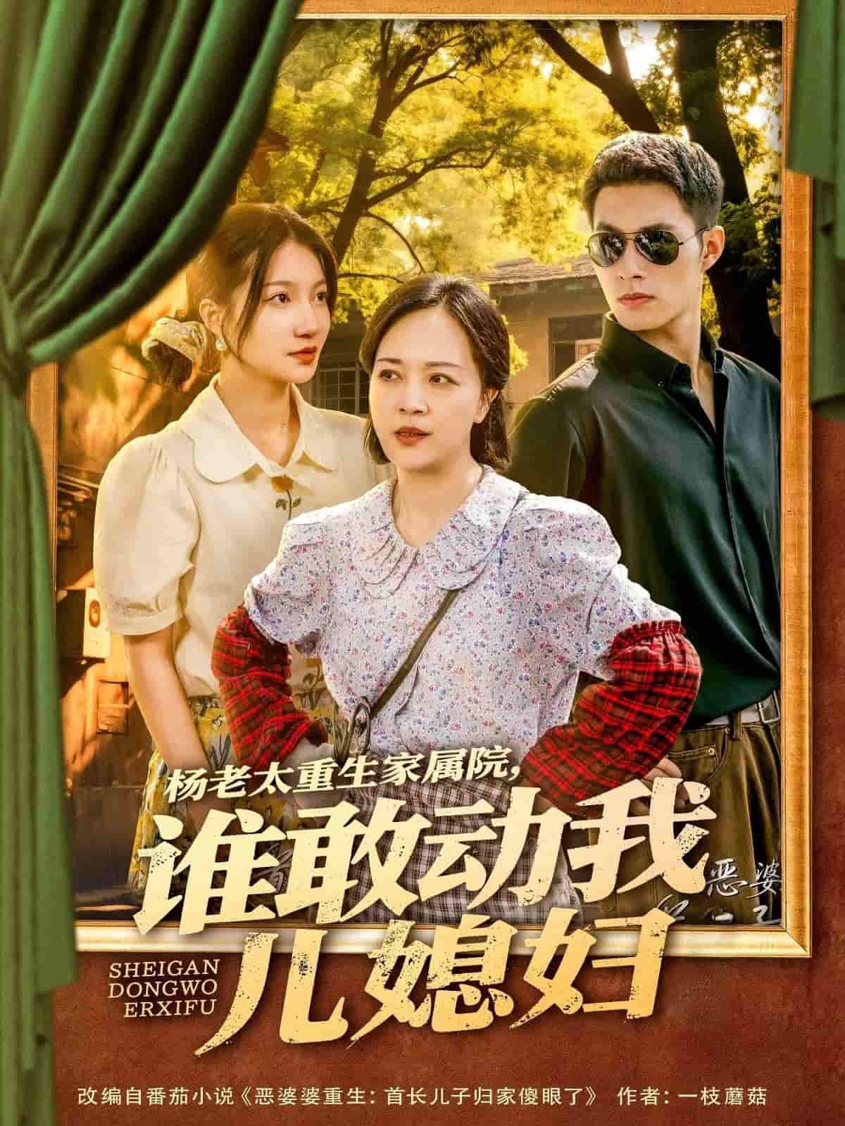 楊老太重生家屬院，誰敢動我兒媳婦(全集)