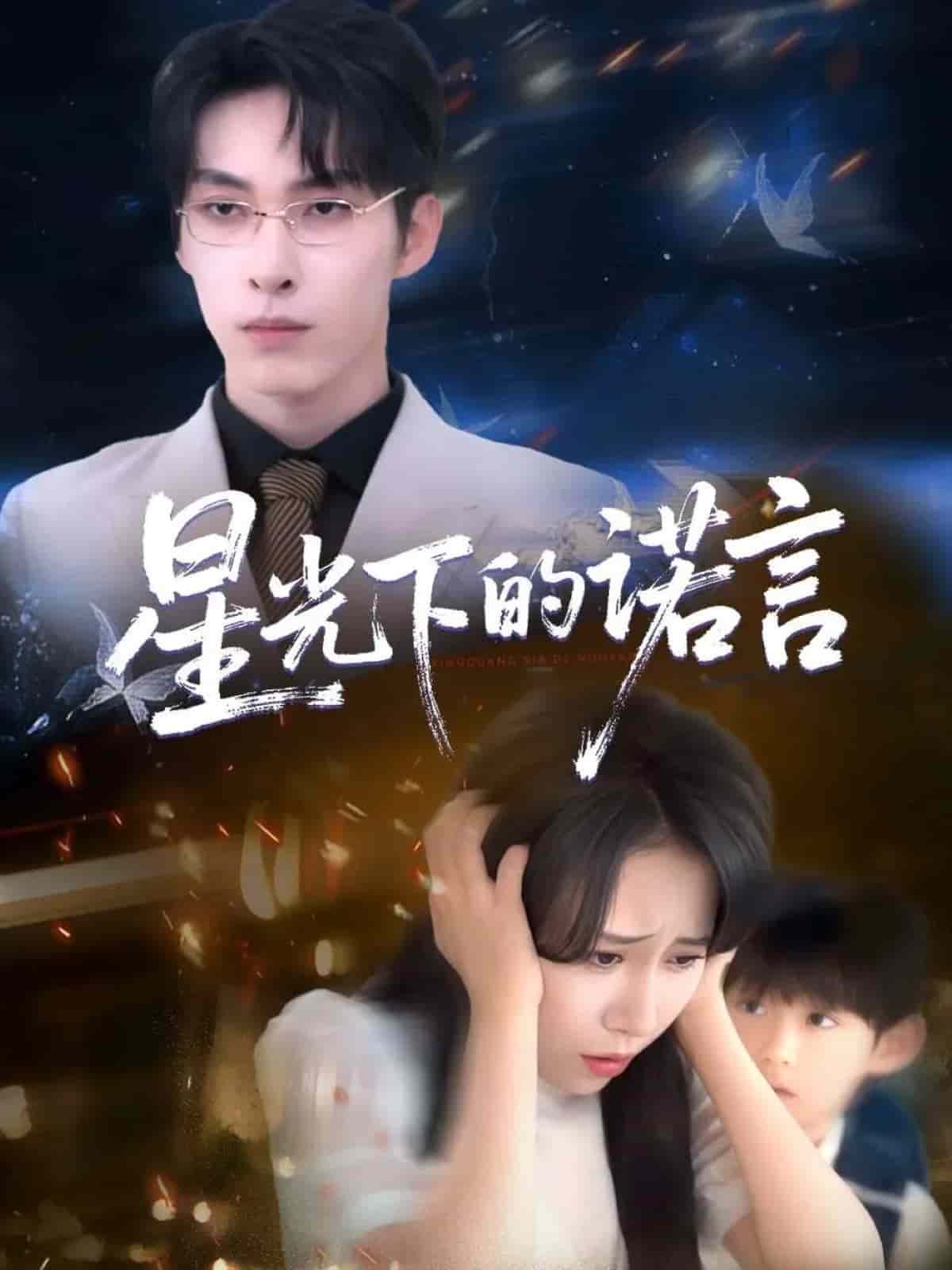 星光下的諾言(全集)