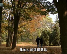 花落時節