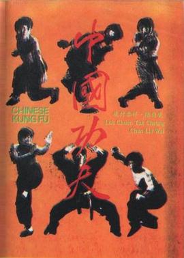 中國(guó)功夫